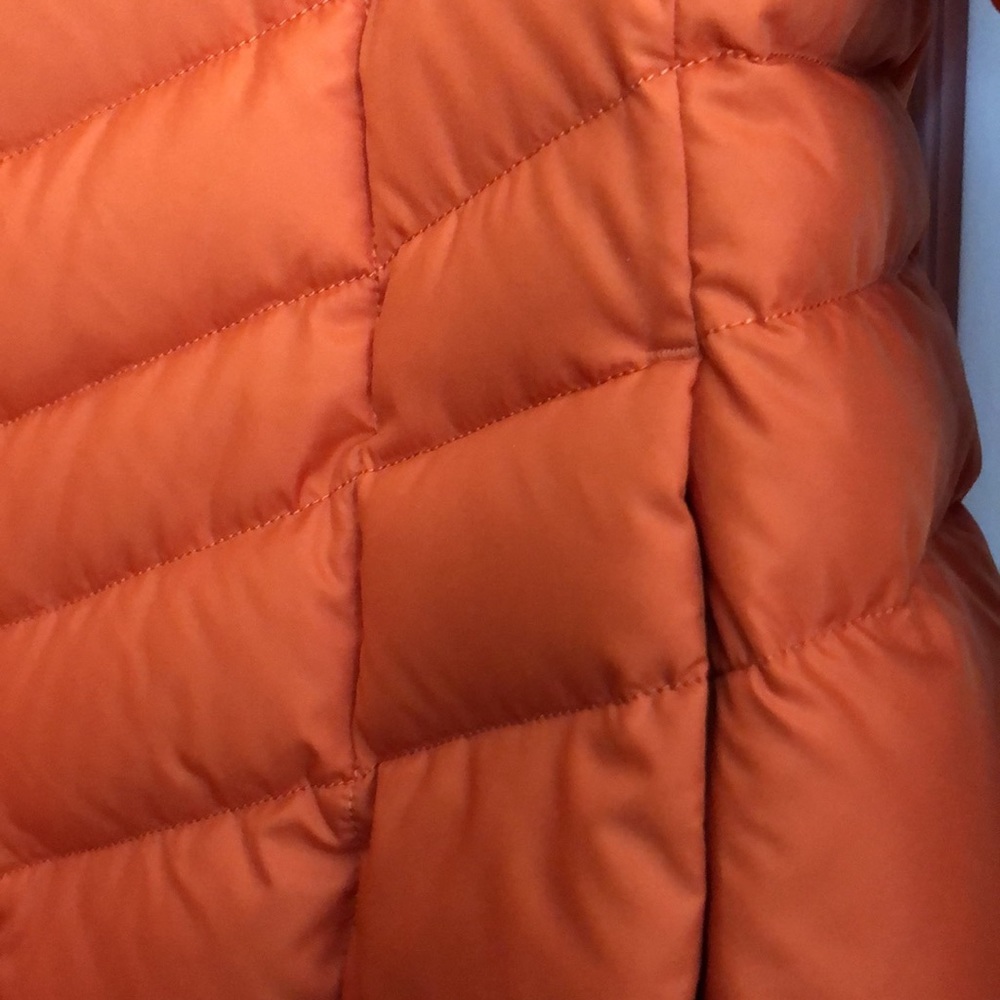 Coat - Picture 4 of 5